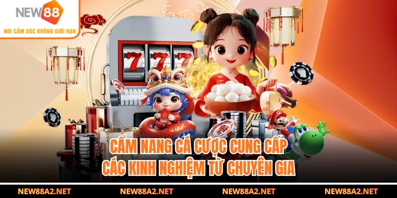 Cẩm nang cá cược cung cấp các kinh nghiệm từ chuyên gia
