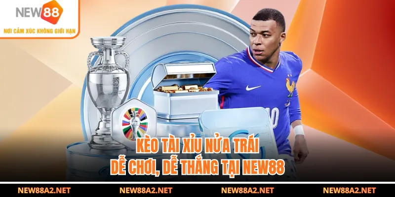 Kèo Tài Xỉu Nửa Trái - Dễ Chơi, Dễ Thắng Tại NEW88