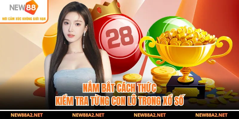 Nắm bắt cách thức kiểm tra từng con lô trong xổ số