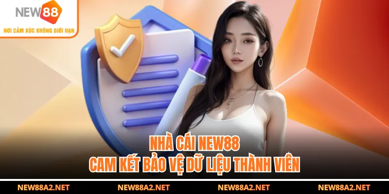 Nhà cái NEW88 cam kết bảo vệ dữ liệu thành viên