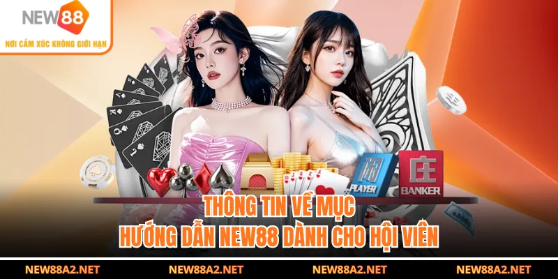 Thông tin về mục hướng dẫn NEW88 dành cho hội viên