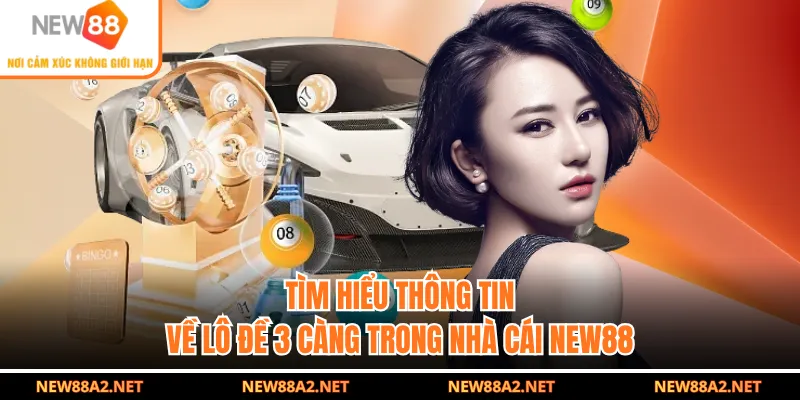 Tìm hiểu thông tin về lô đề 3 càng trong nhà cái NEW88